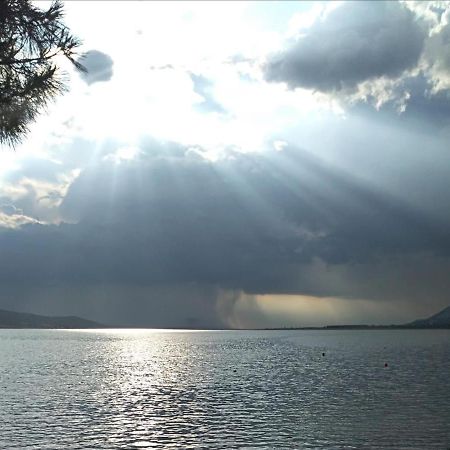 Solis Adriaticum Apartments Ясенице Екстер'єр фото